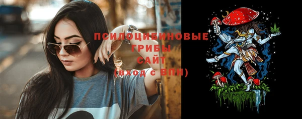 стаф Беломорск