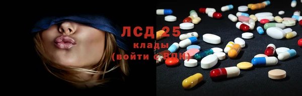 стаф Беломорск
