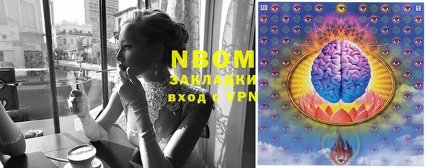 a pvp Белокуриха