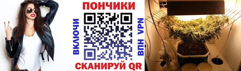 Канабис планчик  Коммунар 